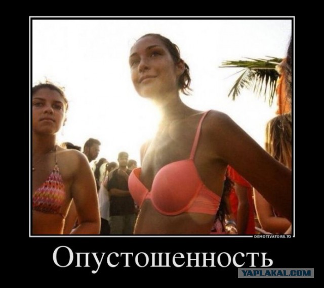 Забавные картинки из Сети