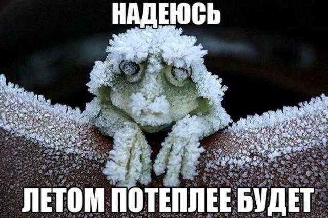 Прикольные картинки из сети
