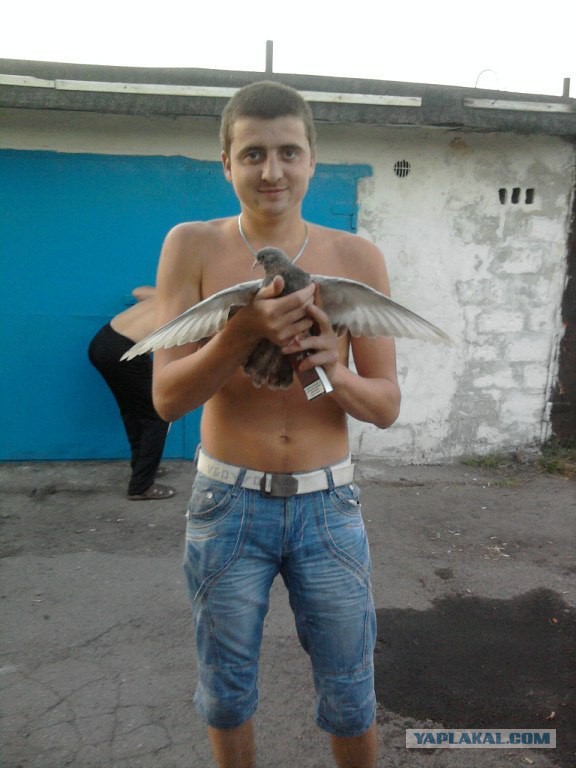 Соцсети, опять.