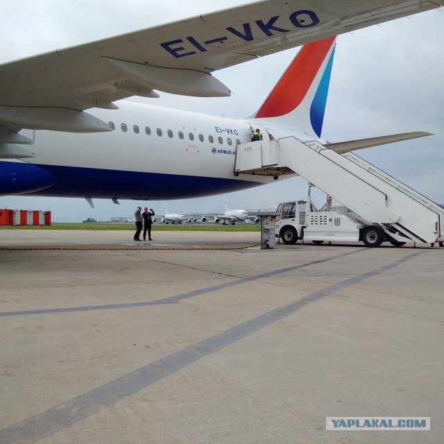 Прилет новенького Airbus 321 во Внуково