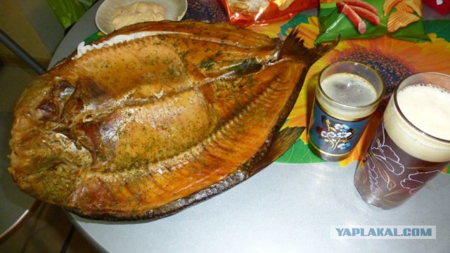 Вкуснейшие блюда российских регионов.
