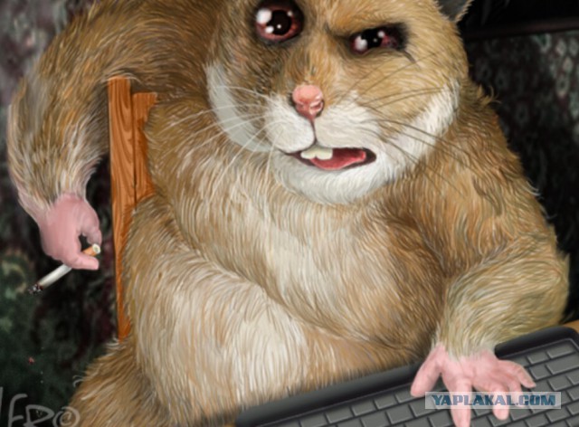 Да пошли они нахрен, эти валютные ипотечники