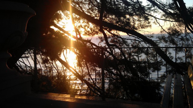 Я узнал, что у меня есть огромная семья