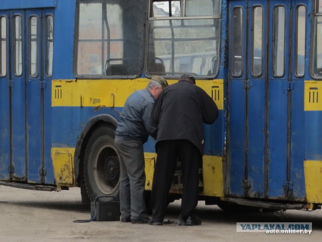 «Три сестры»: сравниваем троллейбусы Гомеля, Брянска и Чернигова