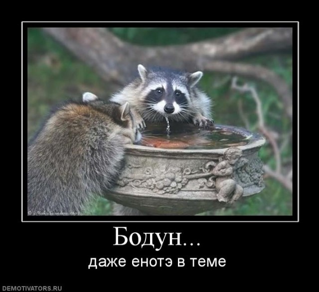 Подборка приколов
