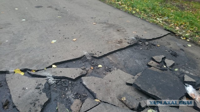 Отставку Собянина обсудят весной 2017 года
