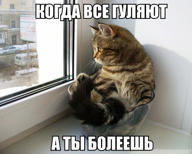 Фото из этих ваших интернетов.