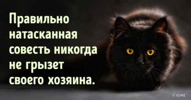 Картинки для поднятия настроения