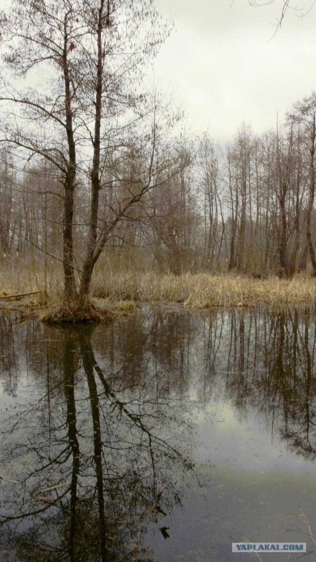 В шаговой доступности...
