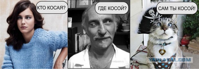 Подборка интересных и веселых картинок