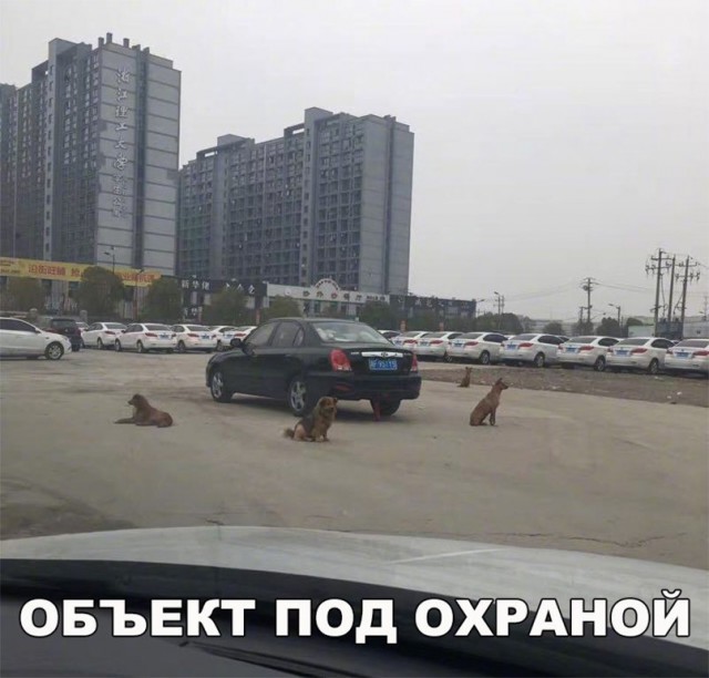 Нестандартный юмор