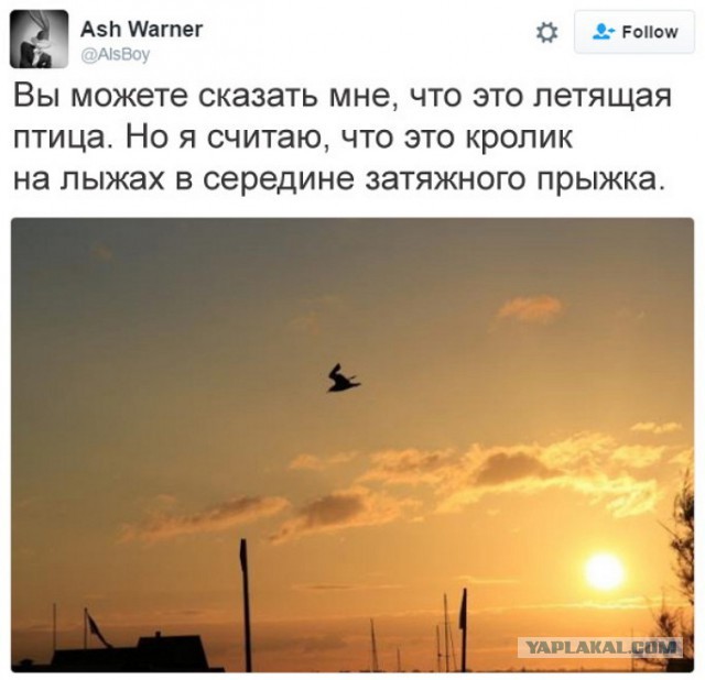 Подборка интересных и веселых картинок