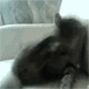 Начало - Третий уровень (Котовторник)