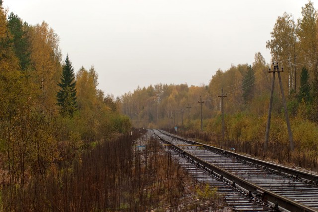 Линии кострома. Северная железная дорога — перегоны. Первушино Костромская область. Станция Меза Костромская область. Станция Зилай.