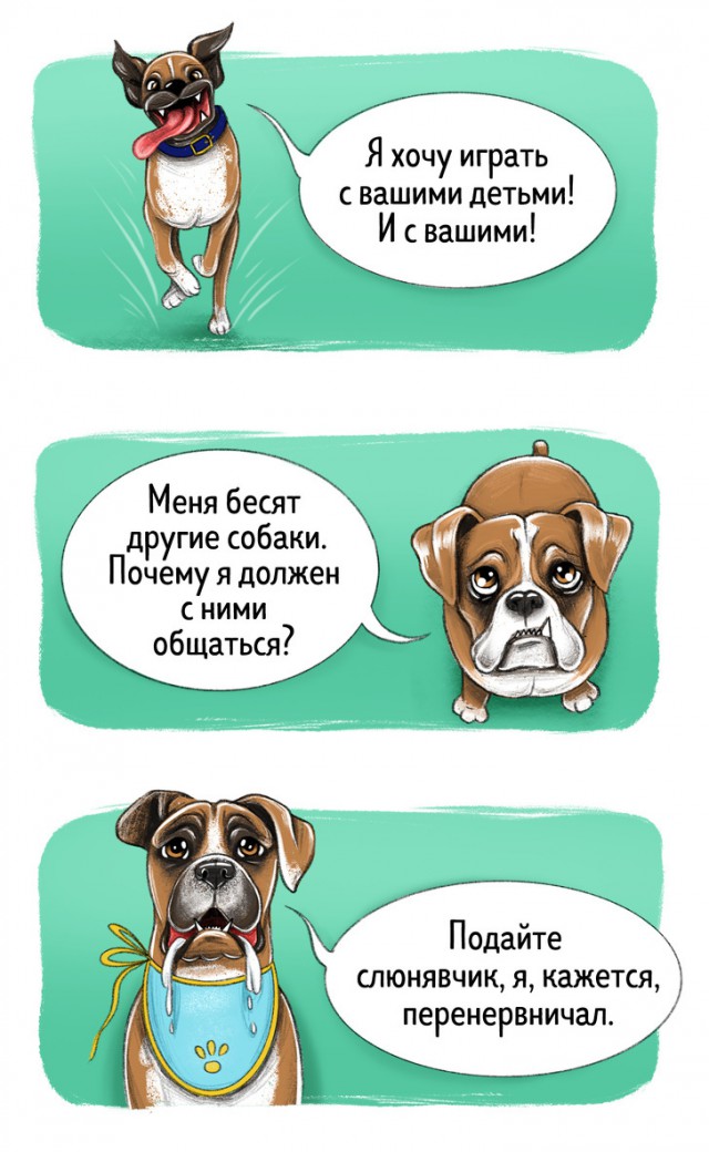 Гид по породам собак