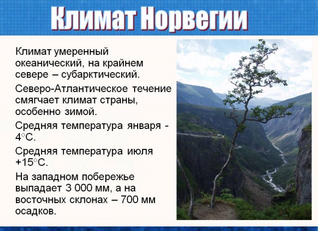 Переплачивай и страдай: почему электромобили в России никому не нужны