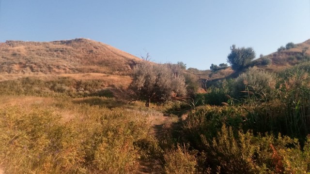 Мыть сапоги в индийском океане, или как мы в Морской Чулек гоняли