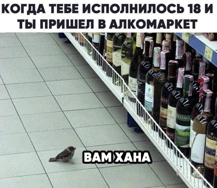 Немного картинок для настроения