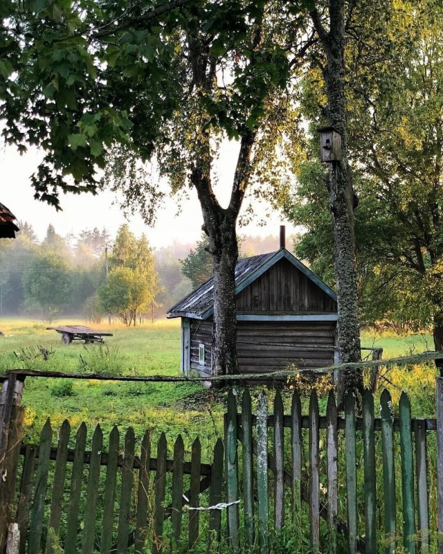 Август в деревне