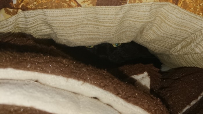 Paзнoвиднocти тьмы