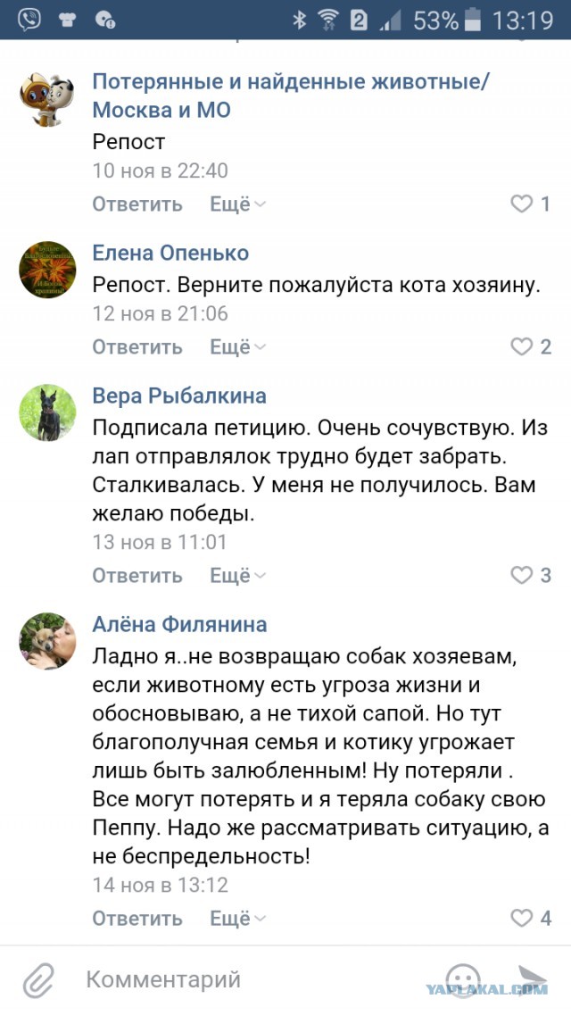 Помогите вернуть кота! Приют "Преданное сердце" украл кота и не отдает!-2