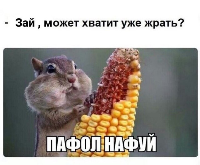 Так себе картинки 10.06.20
