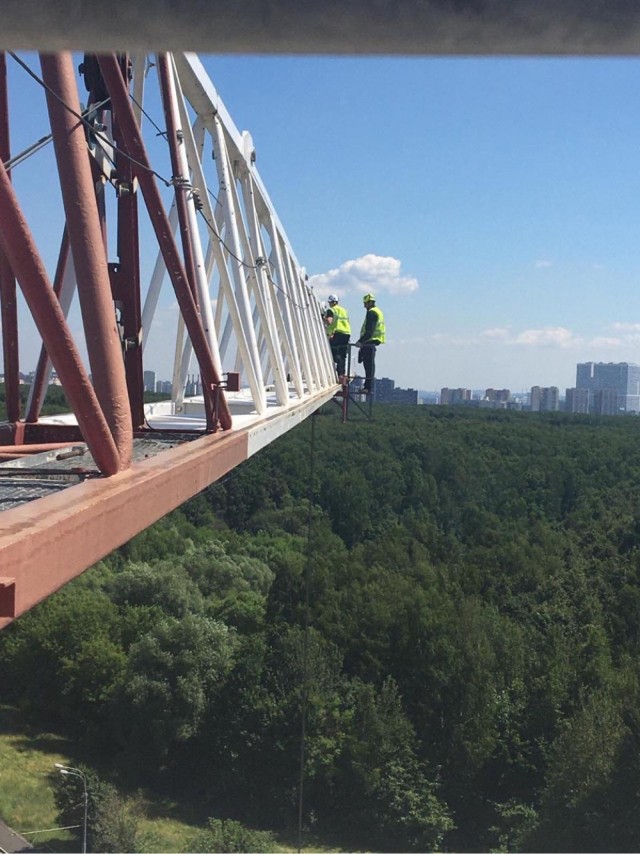 Та еще работенка: подборка фотографий для тех, кому надоело сидеть в офисе