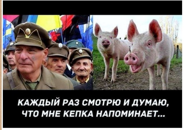 Воспоминания диванного воина о русско-украинской войне