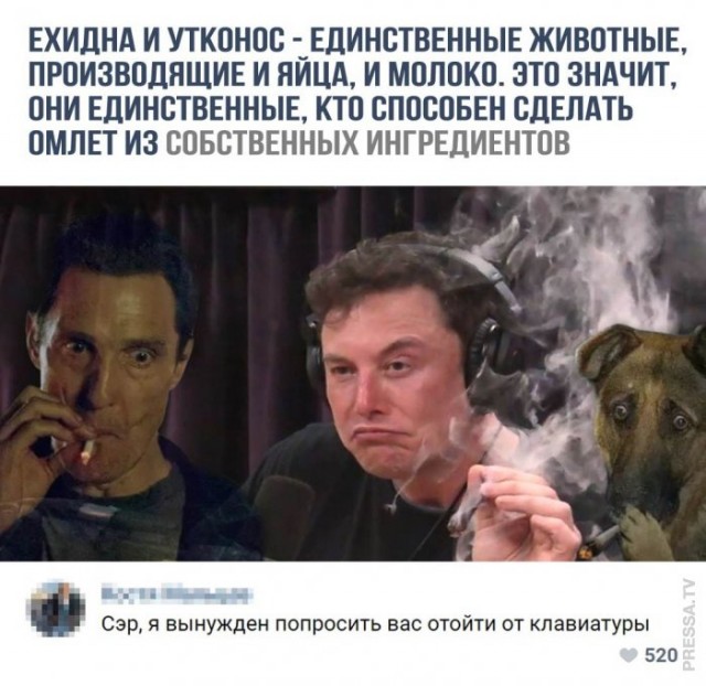 Немного картинок для настроения 10.11.20