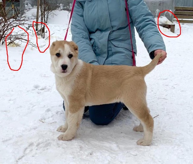 В семье пополнение