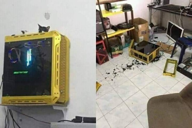 Картиночек и гифок на вечер...