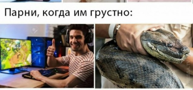 Картинки и мемы для настроения 029