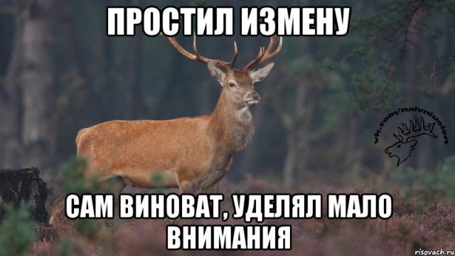 Признания мужчин, простивших жёнам измену (случаи из практики)