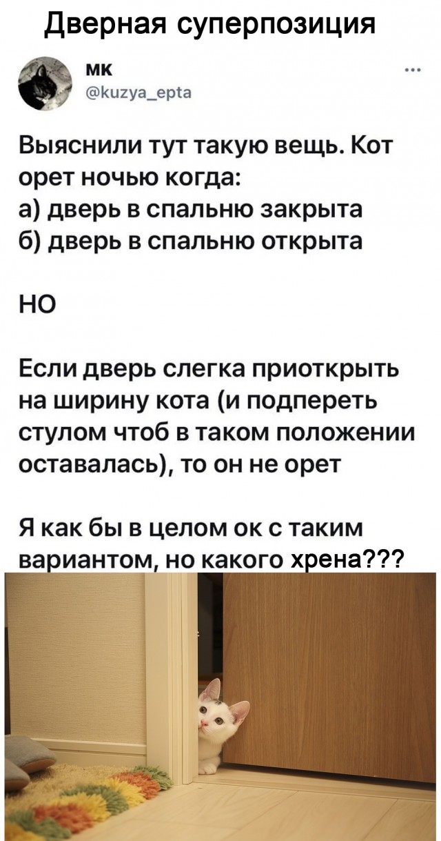 Картинки и мемы для настроения 020