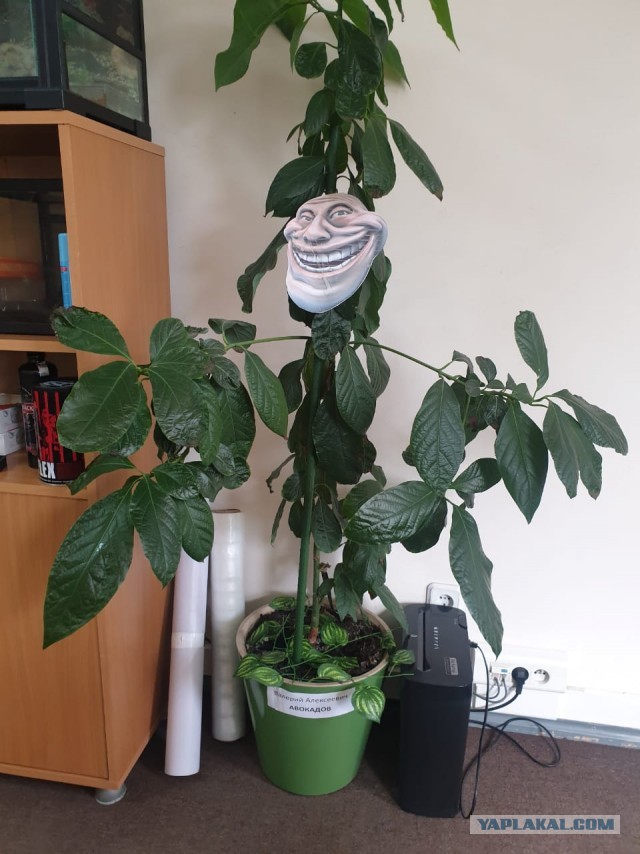 Кулинарная общалка