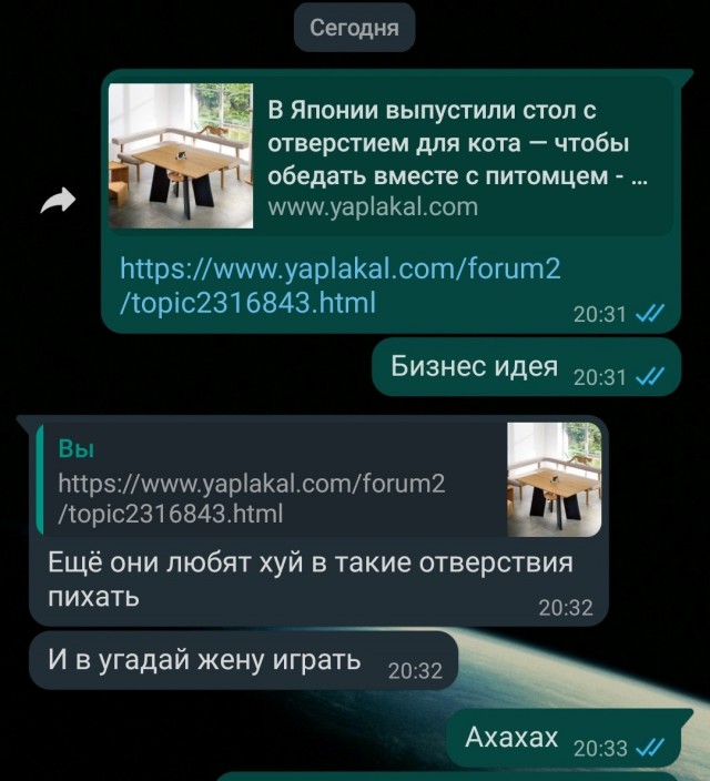 В Японии выпустили стол с отверстием для кота — чтобы обедать вместе с питомцем
