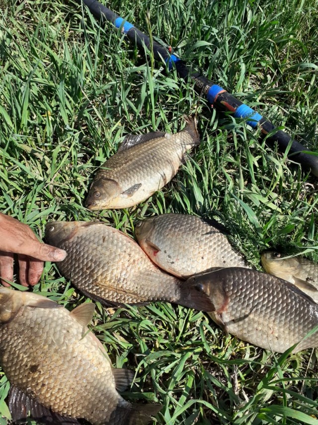 Карась пошел!