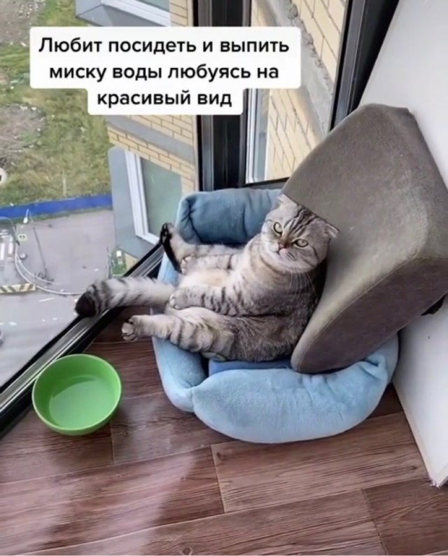 Весёлый полтишок 4.09