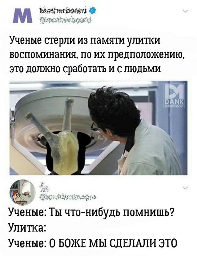 Картинки и мемы для настроения 07.10.2021
