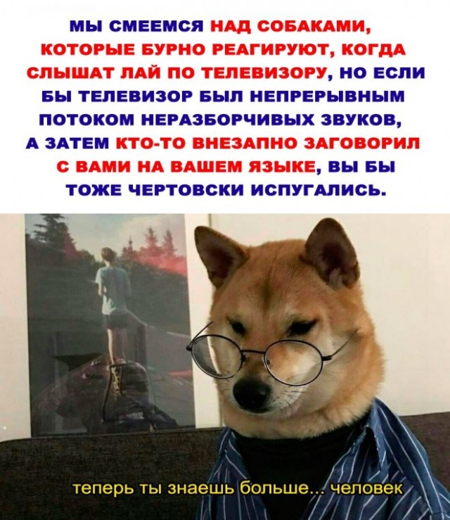 Картинки и мемы, всем прекрасных выходных