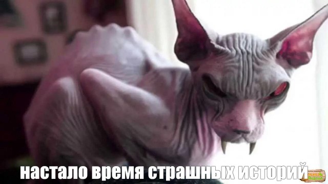 Взорвав зацементированную дверь, заглянули в дот и увидели немца, прикованного к пулемету