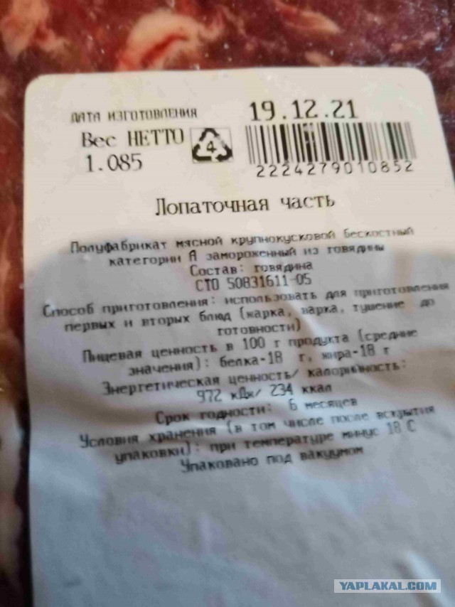 «Живем в богатом воеводстве»: новосибирцы переехали в Польшу ради лучшей жизни. Как там на самом деле?