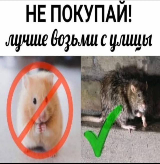 Картинки аморальные и всякие разные - 28