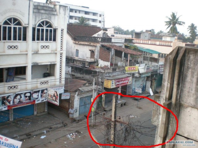 Индия 2007 - 2008 г.