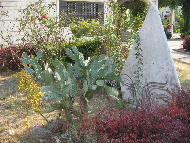 Отдых в Черногории (сентябрь 2012)