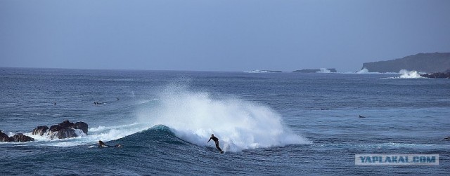 Южно-Американский дневник. остров Пасхи