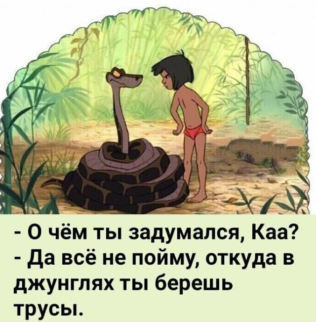 Юмор в картинках и без