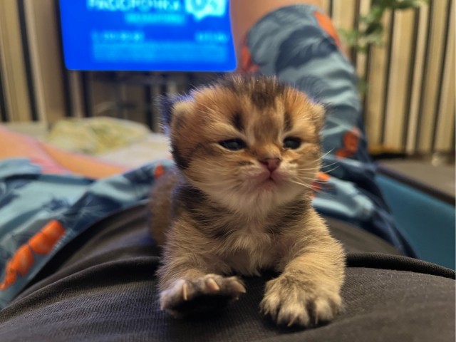 Котя убаюкивает малыша
