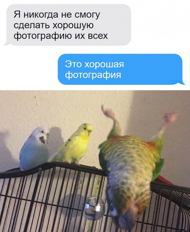 Картинки и мемы. Выходные близко...