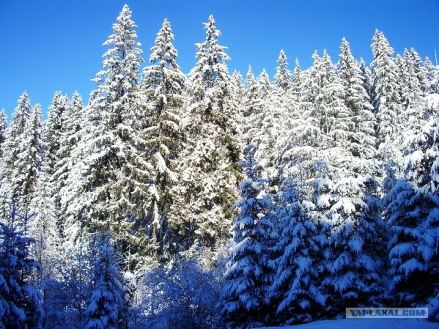 Румыния 20.12.12